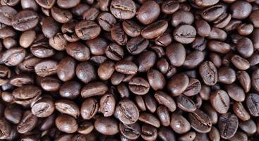 Coffee beans background. Close up of roasted coffee beans. photo