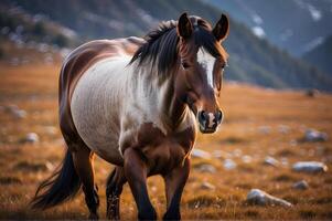 ai generado maravilloso alpino salvaje caballo. foto