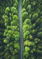 AI generated Aerial view of car travels through the calm forest road photo