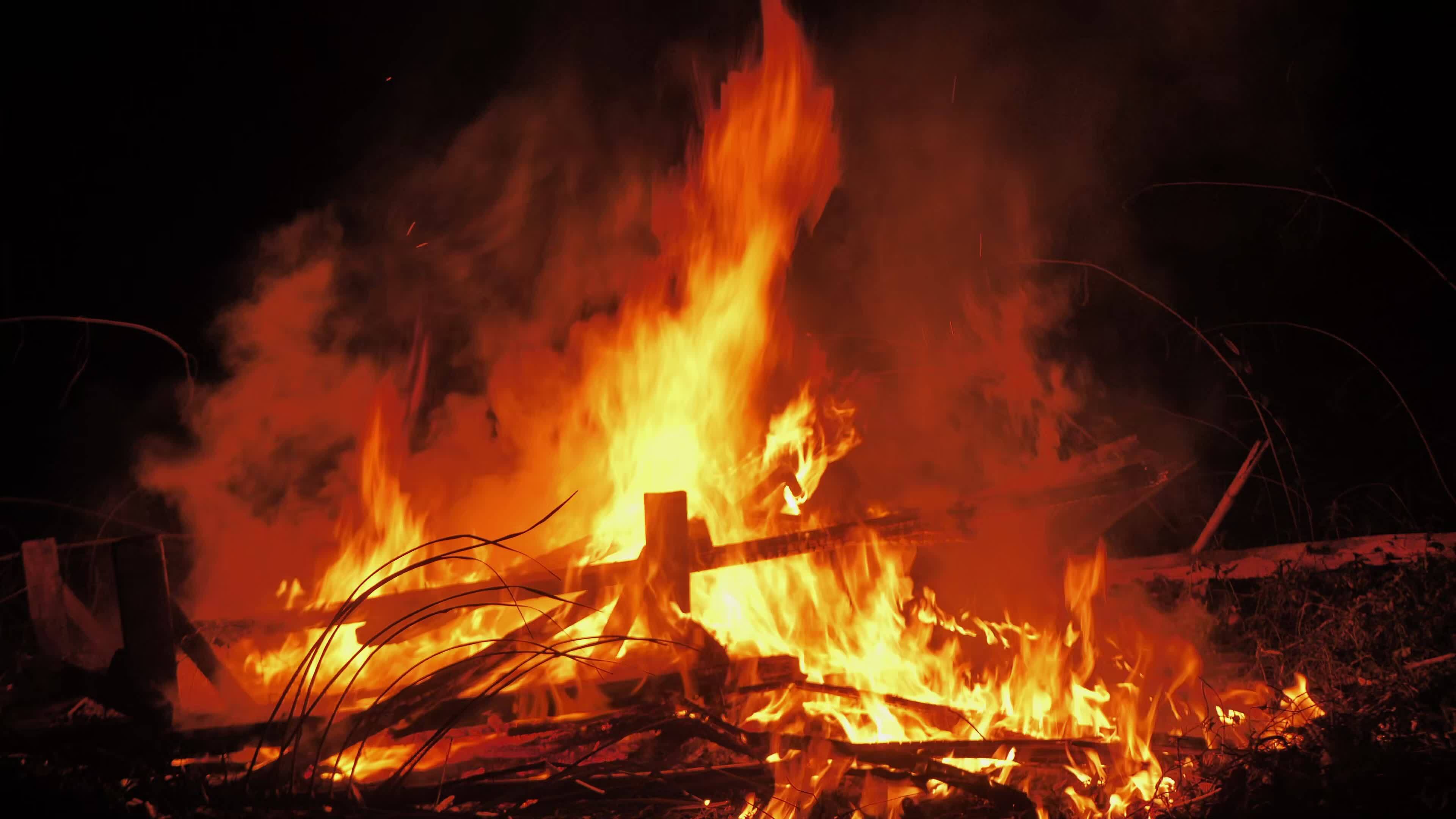 Flames are burning the trees at night. 40985316 Stock Video at Vecteezy