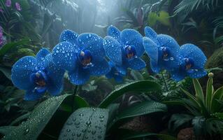 AI generated Blue Orchid Flower photo