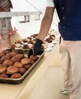 hotel employees are preparing snack cakes on plates before the meeting. Many rows of plates with buffet snacks. photo