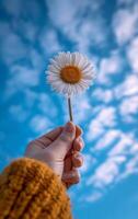 AI generated Sky and hand holding daisy flower photo