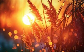 AI generated Sunset Glow Through Whispering Wheat photo