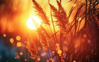 AI generated Sunset Glow Through Whispering Wheat photo