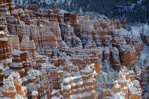 Bryce Canyon NP Winter photo