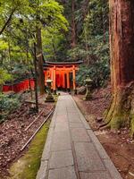 The Path For Meditation In Japan photo