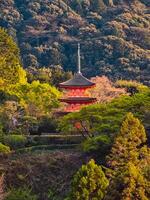 naturaleza rodeando un tradicional arquitectura en Japón foto