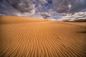 parque nacional de las grandes dunas de arena foto