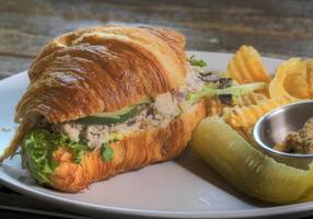 Side View Chicken Salad Croissant Sandwhich photo