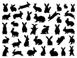 Bunny Rabbit  silhouette vector