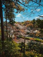 Train Passing In The Colorful Nature photo