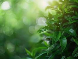 AI generated Green Nature Background photo