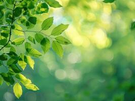 AI generated Green Nature Background photo