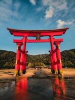 torii puertas cerca el agua en Japón foto