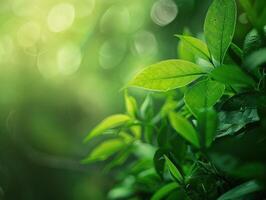 AI generated Green Nature Background photo