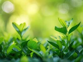 AI generated Green Nature Background photo