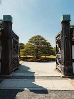 el puertas de naturaleza en Japón foto