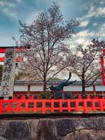 Tokyo, TY, 2023 - Red structures and vivid trees in the Japanese spring days photo