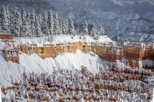 Bryce Canyon NP Winter photo