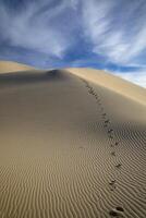 Eureka Dunes Death Valley photo