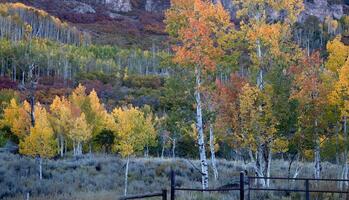 Colorado otoño colores foto