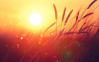 AI generated Sunset Glow Through Whispering Wheat photo