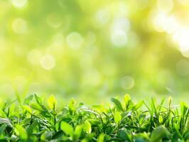 AI generated Green Nature Background photo