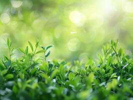 AI generated Green Nature Background photo