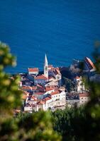 panorama de el antiguo pueblo de Budva desde encima mediante el arboles ver de el antiguo pueblo de Budva en montenegro desde el montaña. hermosa arquitectura y embaldosado techo de medieval ciudad de buda, montenegro, Europa. vertical foto