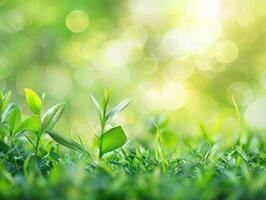 AI generated Green Nature Background photo