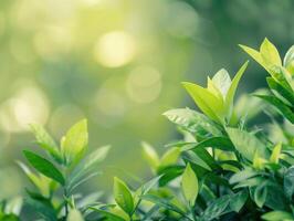 AI generated Green Nature Background photo