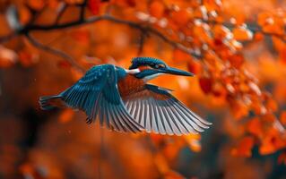 AI generated Colorful kingfisher bird photo