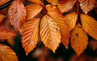 ai generado otoño hojas en naturaleza foto