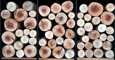 The wooden logs are stacked together to show the circular cross-sectional pattern of each log used for decorating various corners in resorts, houses, and places in vintage style. photo