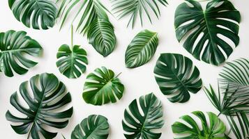 AI generated Top view of Tropical Leaves on white background. Creative nature Layout made of Palm. Flat lay green foliage pattern for text. Summer banner template with copy space photo