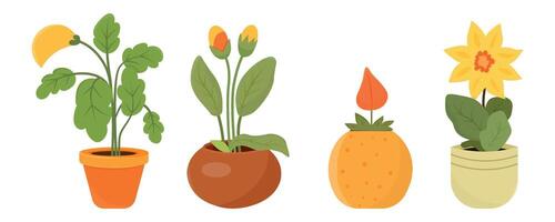 A set of home plants in a pot. Plants for the garden in a pot. Seedlings for planting in the ground. Ready flowers for gardening. Vector illustration