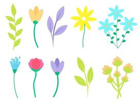 Set of spring flat flowers on isolated background. Flat illustration of a plant. Spring flowers, elements for design. Vector illustration