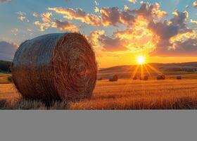 AI generated Hay bales on the field after harvest Hungary photo