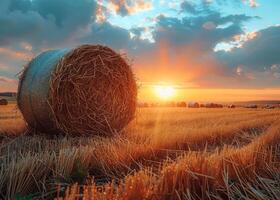 AI generated Hay bale in the countryside at sunset photo