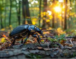 ai generado grande escarabajo gatea a lo largo árbol maletero en el bosque a puesta de sol. foto