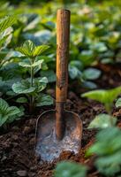 AI generated Shovel is placed on the soil in the garden. photo