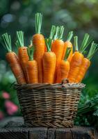 AI generated Fresh organic carrots in basket photo