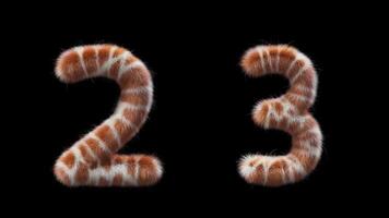 3D animation Giraffe woolen numbers 2 and 3 video