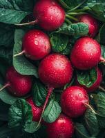 AI generated Fresh radishes with water drops on dark background photo