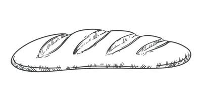 French baguette contour hand drawing. Vector sketch of bread using engraving technique, black ink on a white background. Image for bakery logo, packaging, display window design.