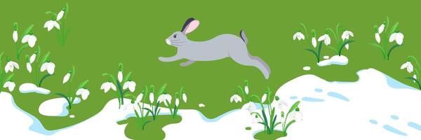 The concept of the arrival of spring and the awakening of nature after winter. Melting snow, snowdrops and a hare running on the green grass. Vector illustration. Flowers sprout through the snow.