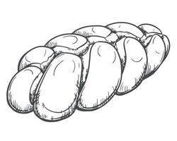 Challah bread vector. Element of the Shabbat Kiddush ceremony. Freshly baked homemade braided challah bread for Shabbat. Line sketch in engraving style. vector