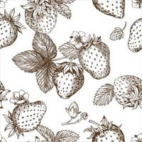 Sketch of strawberry pattern. Berries, flowers, branches and leaves on a white background. Vector