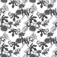 Figs seamless pattern. Vector hand drawn illustration on white background. Botanical fruit sketch texture. Graphic old print, engraving technique. Design for fabric, wrapping paper, wallpaper.